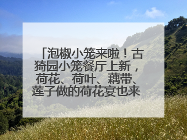 泡椒小笼来啦！古猗园小笼餐厅上新，荷花、荷叶、藕带、莲子做的荷花宴也来尝一下？