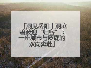 洞见岳阳丨洞庭碧波迎“归客”：一座城市与麋鹿的双向奔赴