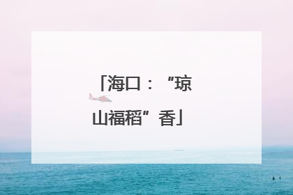 海口：“琼山福稻”香
