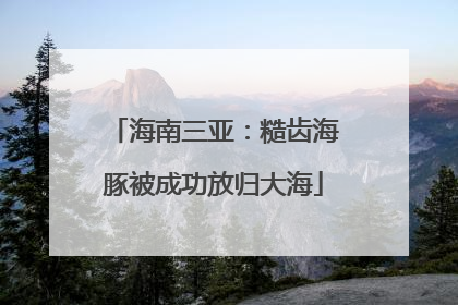 海南三亚：糙齿海豚被成功放归大海