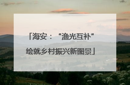 海安：“渔光互补” 绘就乡村振兴新图景