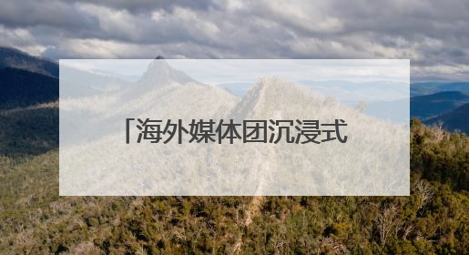 海外媒体团沉浸式体验山东省职业技能大赛技能成果