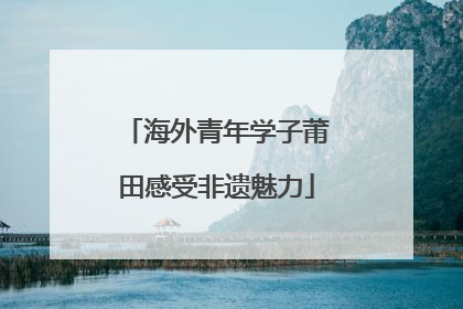 海外青年学子莆田感受非遗魅力