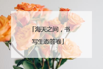 海天之间，书写生态答卷