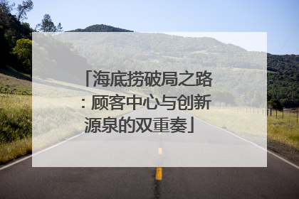 海底捞破局之路：顾客中心与创新源泉的双重奏