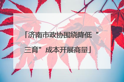 济南市政协围绕降低“三育”成本开展商量
