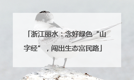 浙江丽水：念好绿色“山字经”，闯出生态富民路