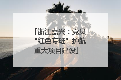 浙江嘉兴：党员“红色专班”护航重大项目建设