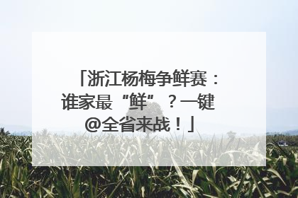 浙江杨梅争鲜赛：谁家最“鲜”？一键@全省来战！