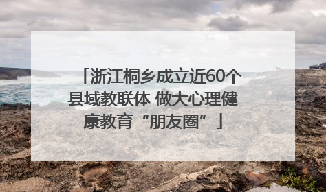 浙江桐乡成立近60个县域教联体 做大心理健康教育“朋友圈”