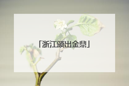 浙江颁出金鼎