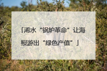 浠水“锅炉革命”让海鳗游出“绿色产值”