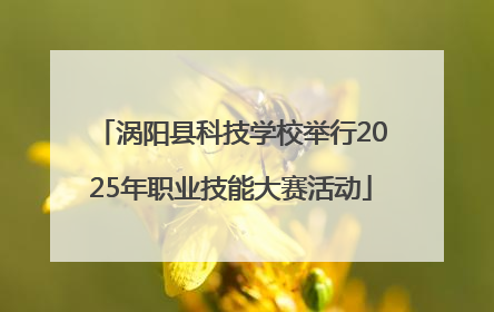 涡阳县科技学校举行2025年职业技能大赛活动
