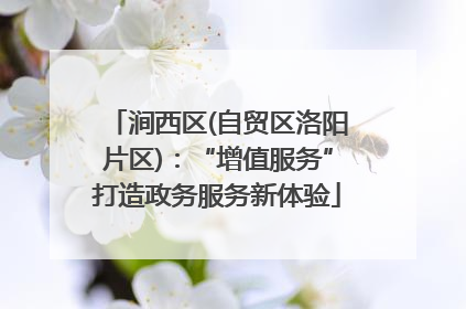 涧西区(自贸区洛阳片区)：“增值服务”打造政务服务新体验