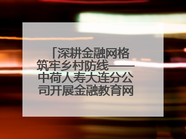 深耕金融网格 筑牢乡村防线——中荷人寿大连分公司开展金融教育网格化宣传活动