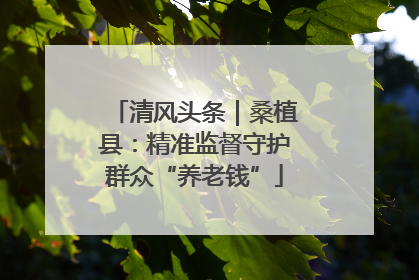 清风头条｜桑植县：精准监督守护群众“养老钱”