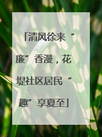 清风徐来“廉”香漫，花堤社区居民“趣”享夏至