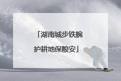 湖南城步铁腕护耕地保粮安