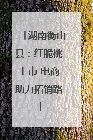 湖南衡山县：红脆桃上市 电商助力拓销路