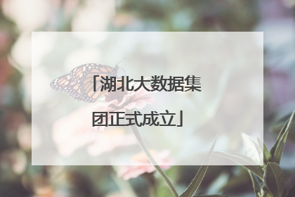 湖北大数据集团正式成立