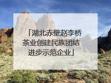 湖北赤壁赵李桥茶业创建民族团结进步示范企业