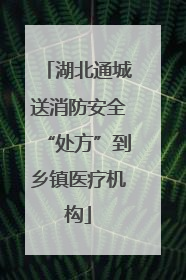 湖北通城送消防安全“处方”到乡镇医疗机构