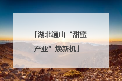 湖北通山“甜蜜产业”焕新机