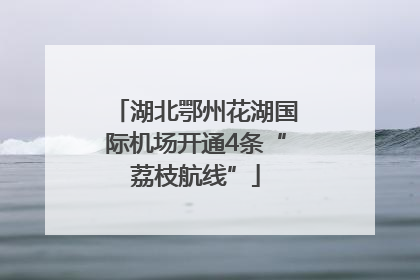 湖北鄂州花湖国际机场开通4条“荔枝航线”