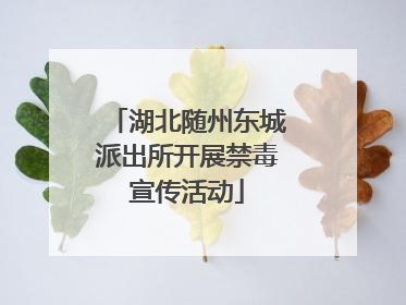 湖北随州东城派出所开展禁毒宣传活动