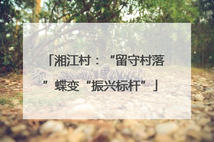 湘江村：“留守村落”蝶变“振兴标杆”