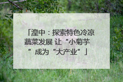 湟中：探索特色冷凉蔬菜发展 让“小菊芋”成为“大产业”