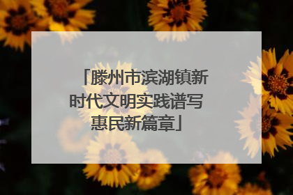 滕州市滨湖镇新时代文明实践谱写惠民新篇章