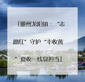 滕州龙阳镇：“志愿红”守护“丰收黄”夏收一线显担当
