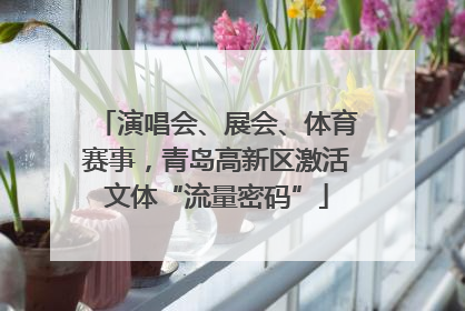 演唱会、展会、体育赛事，青岛高新区激活文体“流量密码”