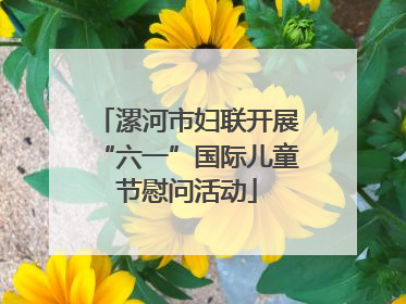 漯河市妇联开展“六一”国际儿童节慰问活动