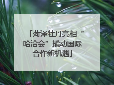菏泽牡丹亮相“哈洽会”撬动国际合作新机遇