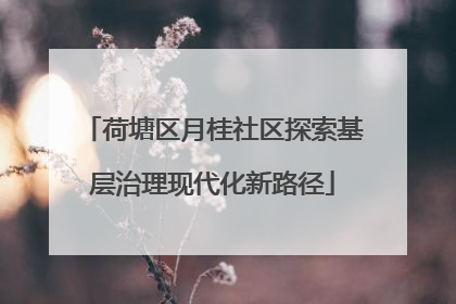 荷塘区月桂社区探索基层治理现代化新路径
