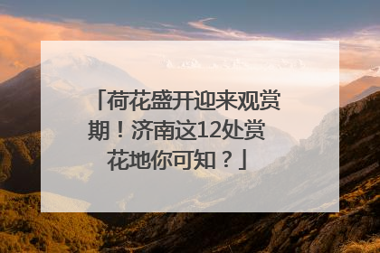 荷花盛开迎来观赏期！济南这12处赏花地你可知？