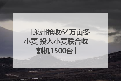 莱州抢收64万亩冬小麦 投入小麦联合收割机1500台
