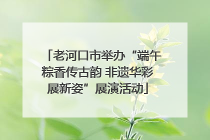老河口市举办“端午粽香传古韵 非遗华彩展新姿”展演活动