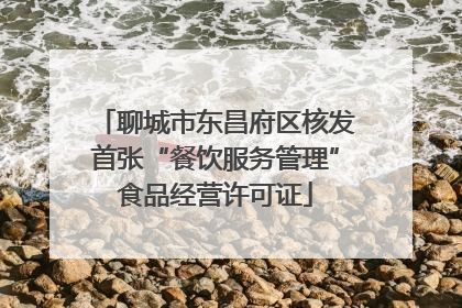 聊城市东昌府区核发首张“餐饮服务管理”食品经营许可证