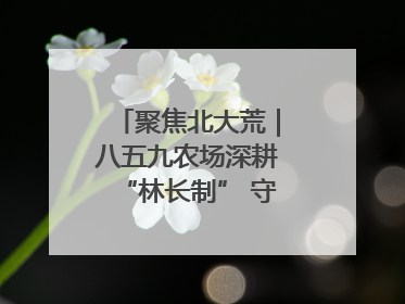聚焦北大荒｜八五九农场深耕“林长制” 守护“生态绿”