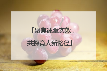 聚焦课堂实效，共探育人新路径