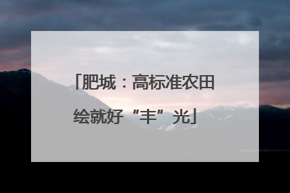 肥城：高标准农田绘就好“丰”光