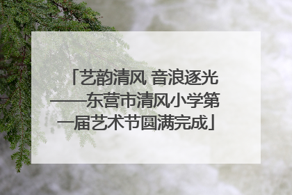 艺韵清风 音浪逐光——东营市清风小学第一届艺术节圆满完成