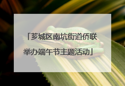 芗城区南坑街道侨联举办端午节主题活动