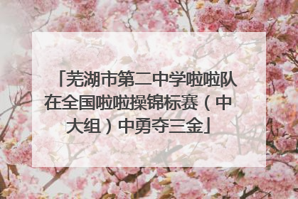 芜湖市第二中学啦啦队在全国啦啦操锦标赛（中大组）中勇夺三金