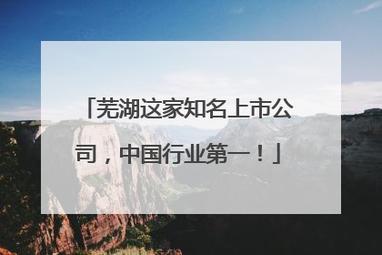 芜湖这家知名上市公司，中国行业第一！