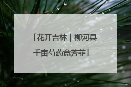 花开吉林｜柳河县千亩芍药竞芳菲