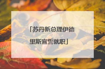 苏丹新总理伊德里斯宣誓就职